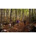KIJKI KIJE TREKKINGOWE DO CHODZENIA REGULOWANE 110-135 KOMPAS + AKCESORIA