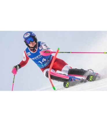 Gardy Ochraniacz do kijów slalomowych LEKI Closed WorldCup 3D