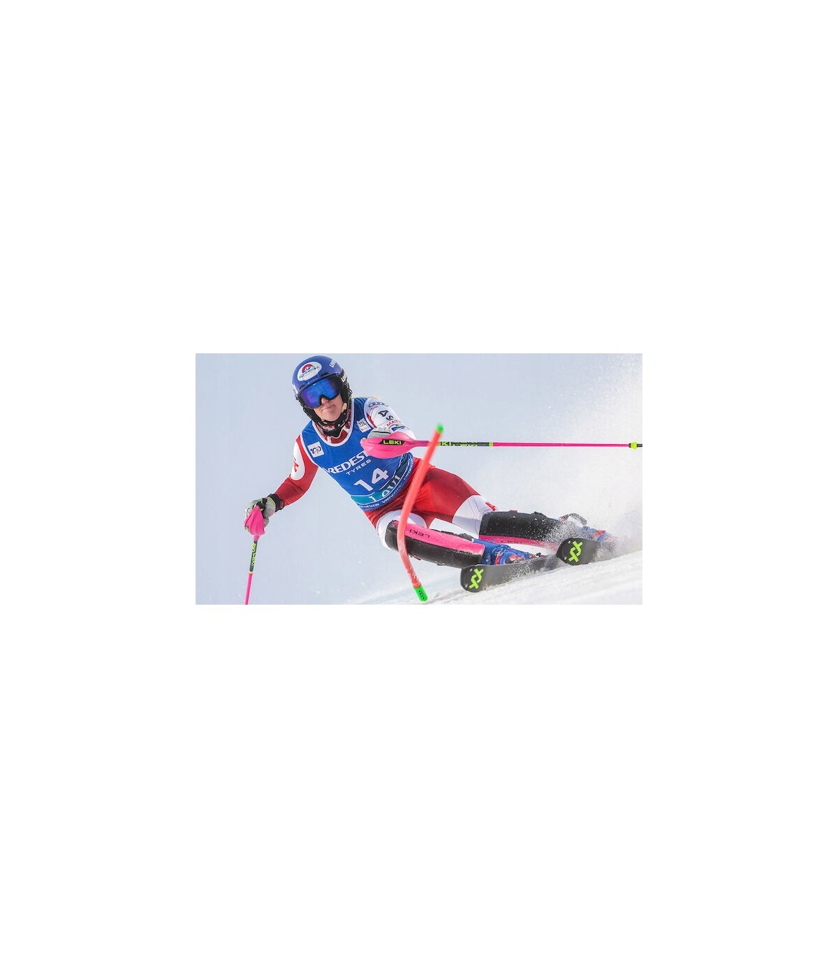 Gardy Ochraniacz do kijów slalomowych LEKI Closed WorldCup 3D