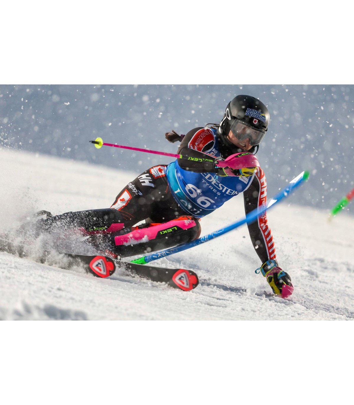 Gardy Ochraniacz do kijów slalomowych LEKI Closed WorldCup 3D