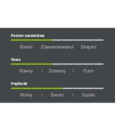 Narty zjazdowe Allmountain ELAN ELEMENT Groove 152cm wiązania EL10