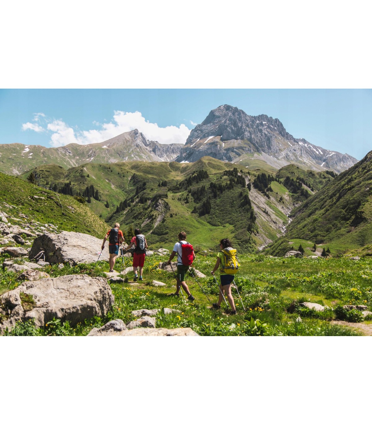 Buciki nakładki do kijów trekkingowych LEKI PAD 882110104 z opakowaniem