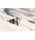 LEKI Guide Lite 2 kije Skiturowe trekkingowe 145