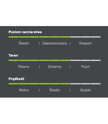 Narty zjazdowe ELAN AMPHIBIO GTI Power Shift 152cm