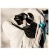 Rękawice LEKI SNOWBIRD LADY GoreTex Primaloft 6,0