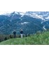 Kije trekkingowe LEKI BLACK CARBON SLS XTG 100-135